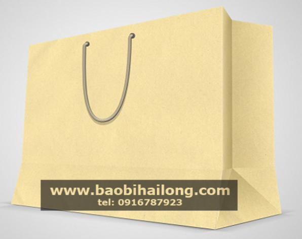 Túi giấy đựng giày dép - Bao Bì Hải Long - Công Ty TNHH Thương Mại Dịch Vụ Sản Xuất Bao Bì Hải Long